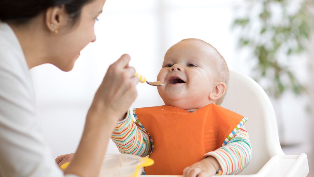 Stock Photo De Aliments En Purée Pour Bébé Dans Un Bac À Glaçons