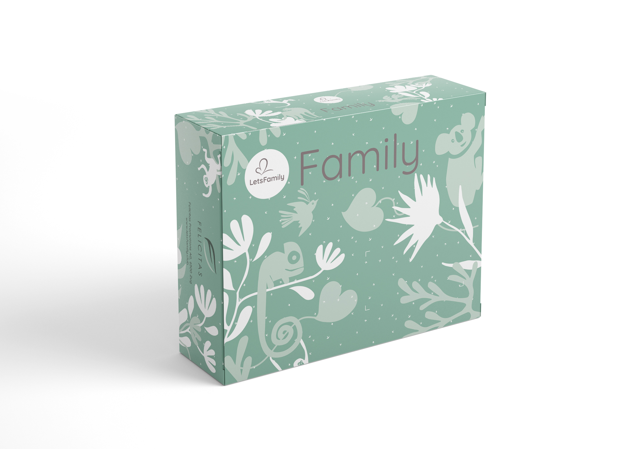 Cadeau: La Family Box : Une expérience inoubliable pour les parents et les  enfants - Une sélection des meilleures adresses pour les familles en Suisse  Romande